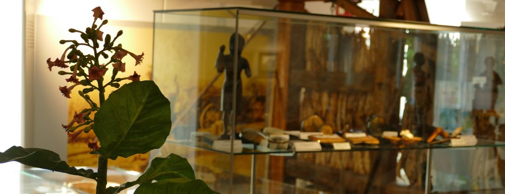 Exponate im Tabakmuseum